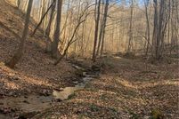 Property for sale in Braxton County, West Virginia