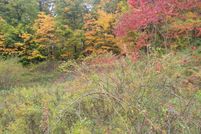 Property for sale in Van Buren County, Michigan