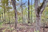 Undeveloped Land for sale in Talladega County, Alabama