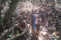 Property for sale in Fairfax County, Virginia