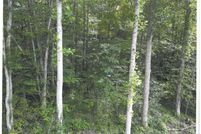 Property for sale in Clay County, Kentucky