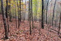 Property for sale in Wythe County, Virginia