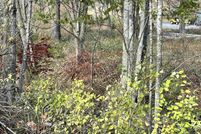 Property for sale in Randolph County, West Virginia