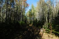 Property for sale in Lincoln County, Wisconsin