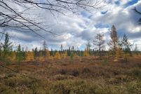 Property for sale in Clare County, Michigan