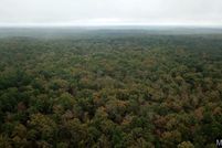 Undeveloped Land for sale in Wayne County, Missouri