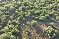 Undeveloped Land for sale in Bee County, Texas