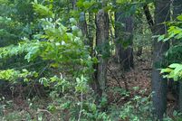 Property for sale in Essex County, New York