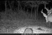 Undeveloped Land for sale in Allen County, Kansas