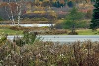 Property for sale in Washington County, Maine