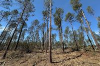 Property for sale in Simpson County, Mississippi