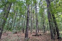 Undeveloped Land for sale in Hinds County, Mississippi