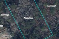 Undeveloped Land for sale in Sumter County, South Carolina