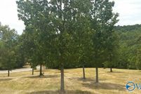 Property for sale in Cherokee County, Alabama