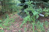 Undeveloped Land for sale in Oceana County, Michigan