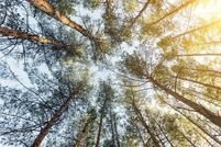 Property for sale in Polk County, Florida