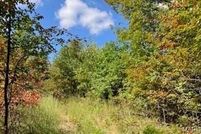 Property for sale in Iron County, Missouri