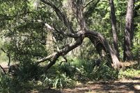 Property for sale in Charleston County, South Carolina