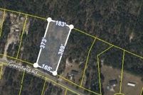 Undeveloped Land for sale in Pierce County, Georgia