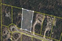 Undeveloped Land for sale in Pierce County, Georgia