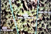 Property for sale in Lancaster County, South Carolina