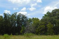 Undeveloped Land for sale in Citrus County, Florida