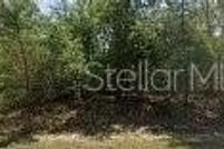 Undeveloped Land for sale in Citrus County, Florida