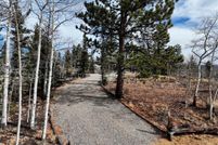 Undeveloped Land for sale in Park County, Colorado