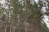 Property for sale in Oneida County, Wisconsin