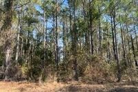 Undeveloped Land for sale in Crisp County, Georgia
