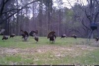 Property for sale in Webster County, Mississippi