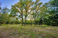 Undeveloped Land for sale in Montague County, Texas