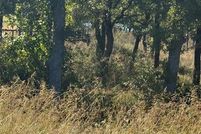 Property for sale in Wise County, Texas