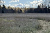 Undeveloped Land for sale in Cheboygan County, Michigan