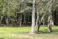 Property for sale in East Feliciana Parish, Louisiana