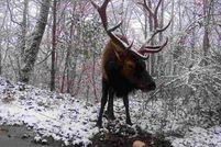 Property for sale in Johnson County, Kentucky