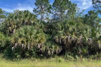 Undeveloped Land for sale in Collier County, Florida