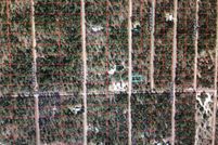 Property for sale in Levy County, Florida
