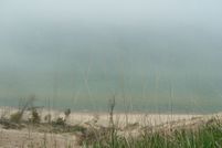 Undeveloped Land for sale in Mason County, Michigan