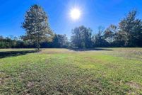 Undeveloped Land for sale in Titus County, Texas