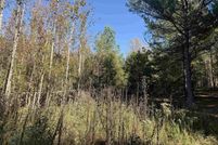 Undeveloped Land for sale in Greene County, Arkansas