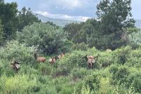 Waterfront Property for sale in Apache County, Arizona