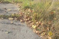 Property for sale in Owen County, Indiana