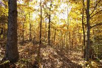 Property for sale in Benton County, Arkansas