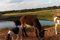 Property for sale in Jones County, Texas