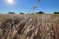 Ranch Property for sale in Van Zandt County, Texas