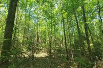 Property for sale in Geneva County, Alabama