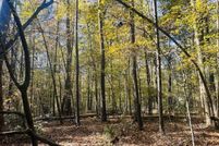 Undeveloped Land for sale in Rockdale County, Georgia