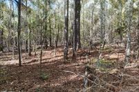 Property for sale in Tuscaloosa County, Alabama