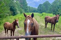 Property for sale in Randolph County, Alabama